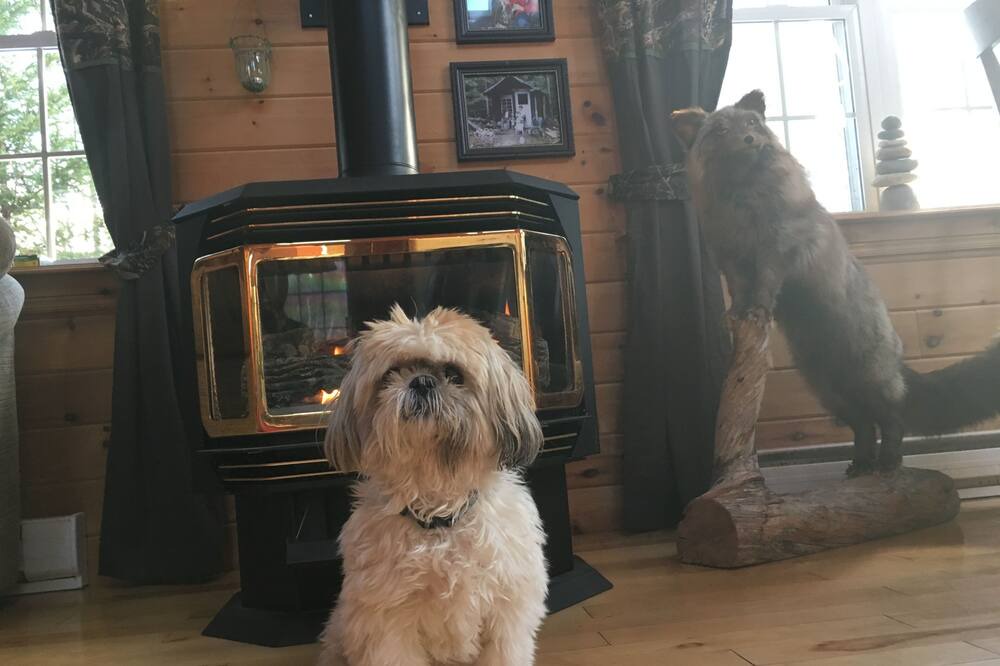 Photo of Livingroom in Wallace