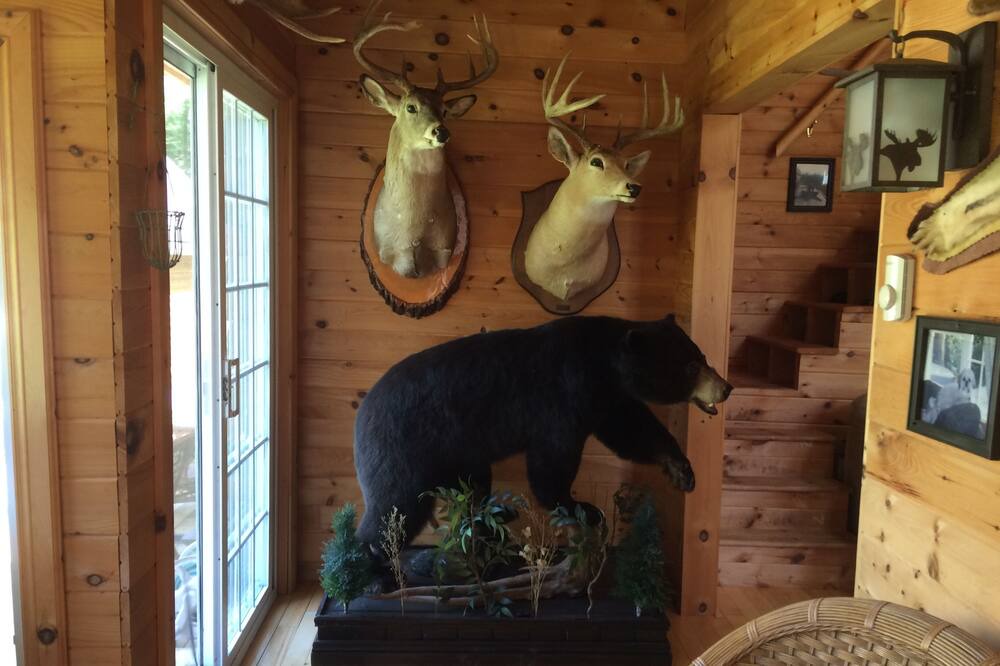 Photo of Others in Wallace