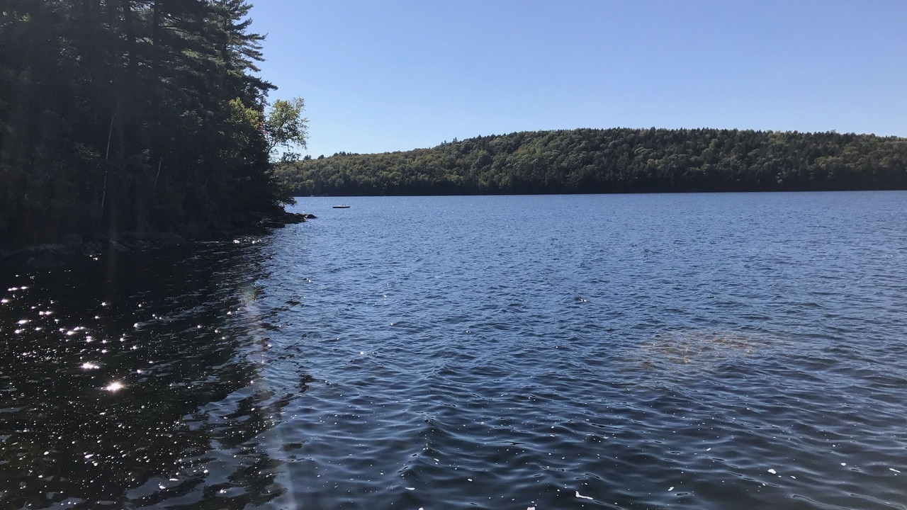 Photo of Others in Mount Vernon