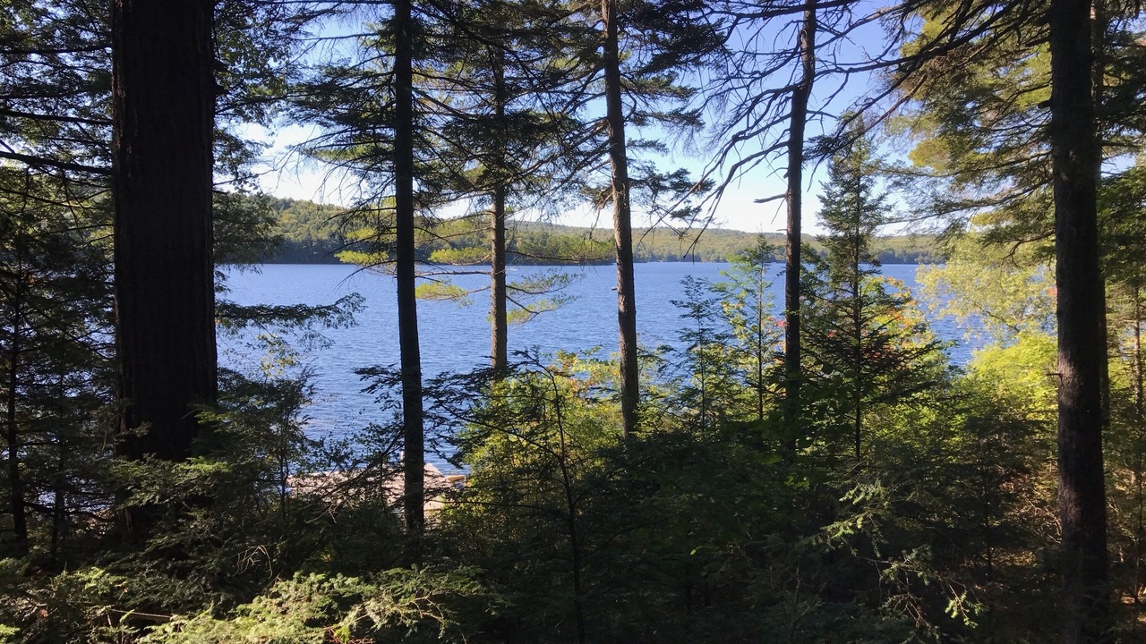 Photo of Outdoor in Mount Vernon