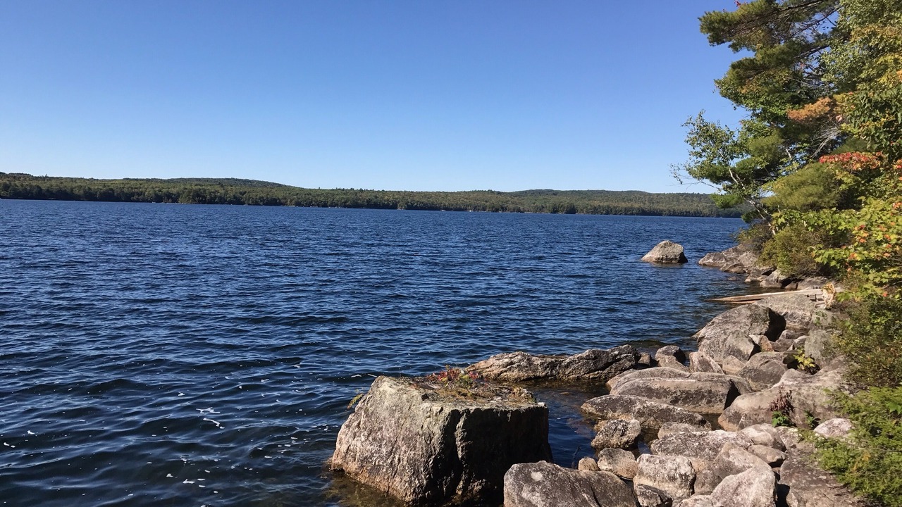 Photo of Others in Mount Vernon