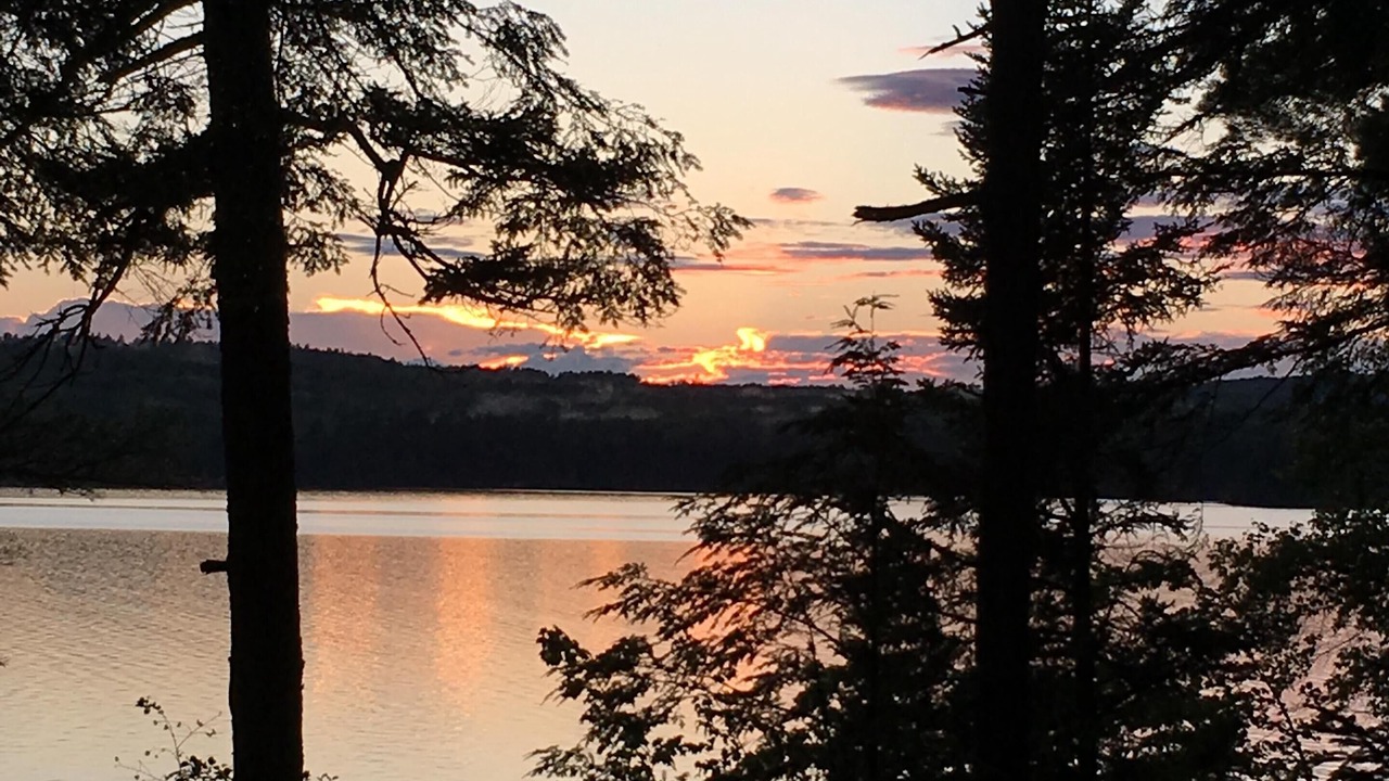 Photo of Others in Mount Vernon