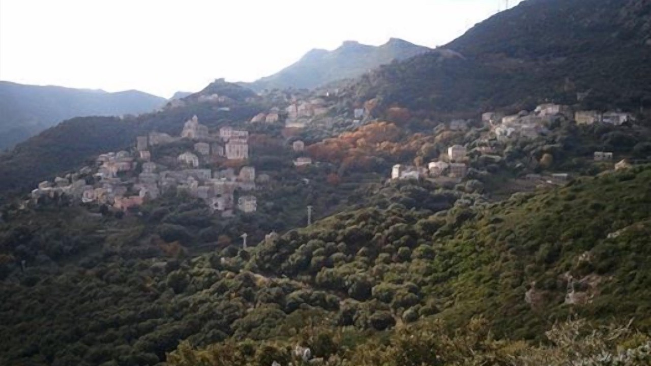 Photo of Others in Macinaggio