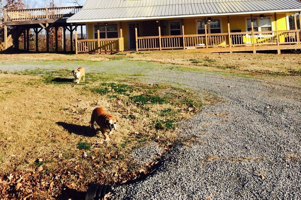 Photo of Outdoor in Langston