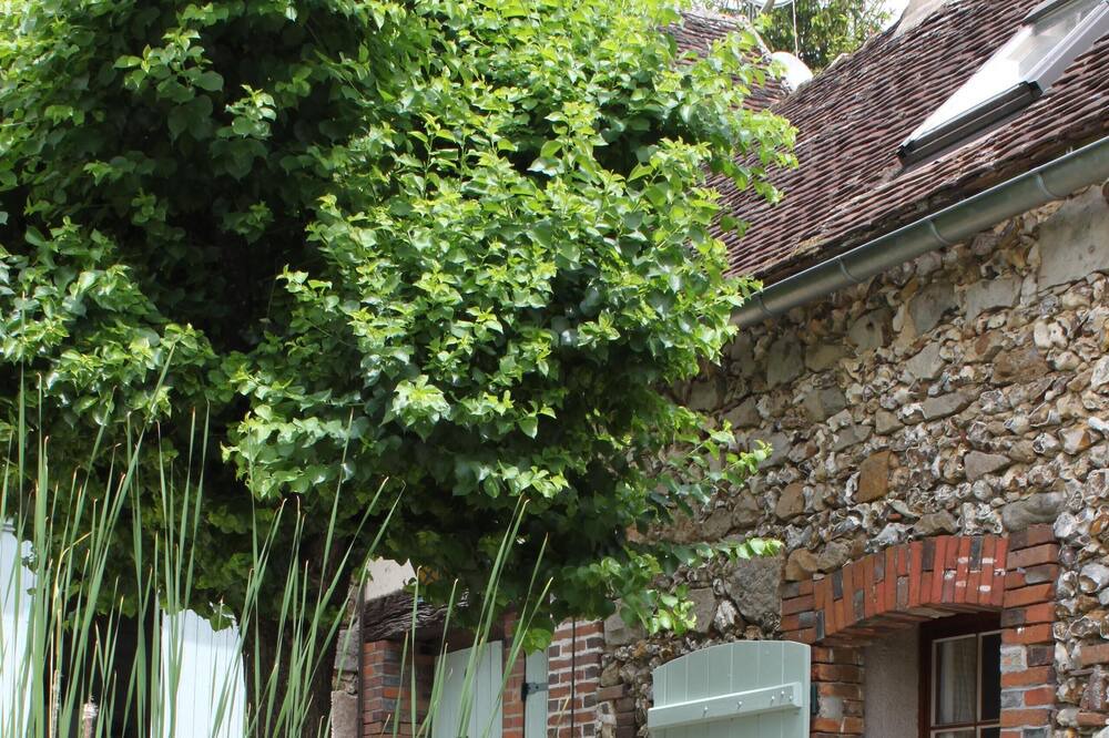 Photo of Outdoor in Voisines