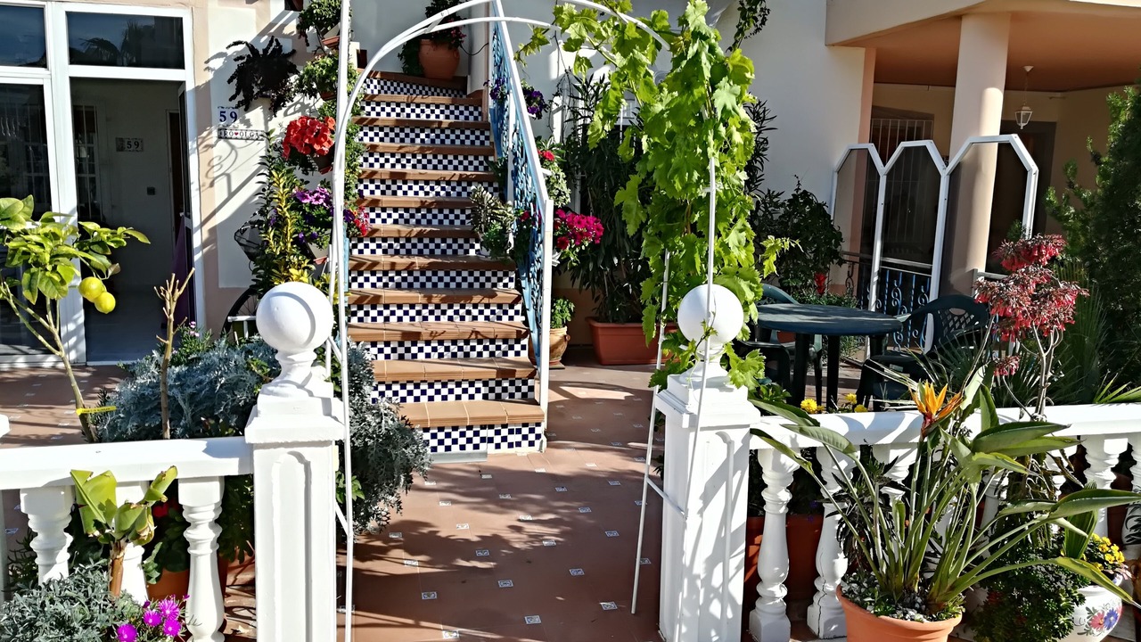 Photo of Outdoor in Los Altos