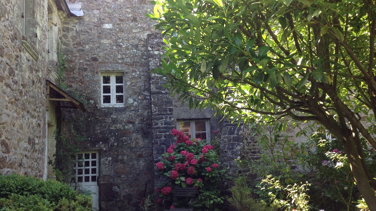 Photo of Others in Montauban-de-Bretagne