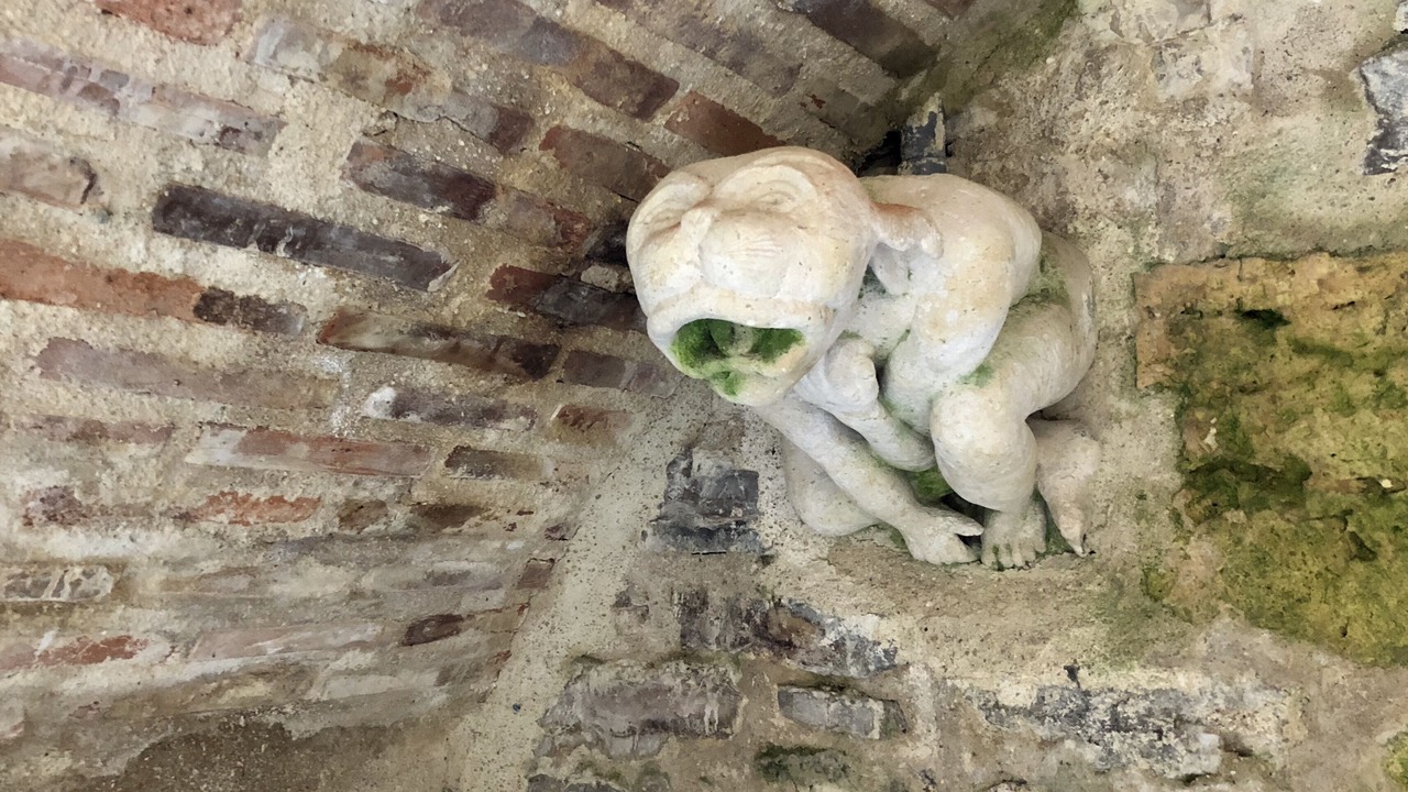Photo of Others in Cordes-sur-Ciel