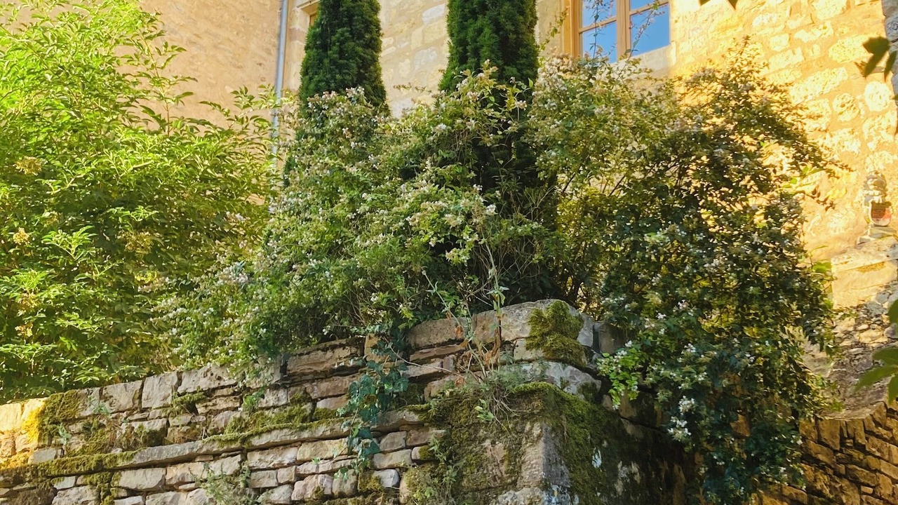 Photo of Outdoor in Cordes-sur-Ciel
