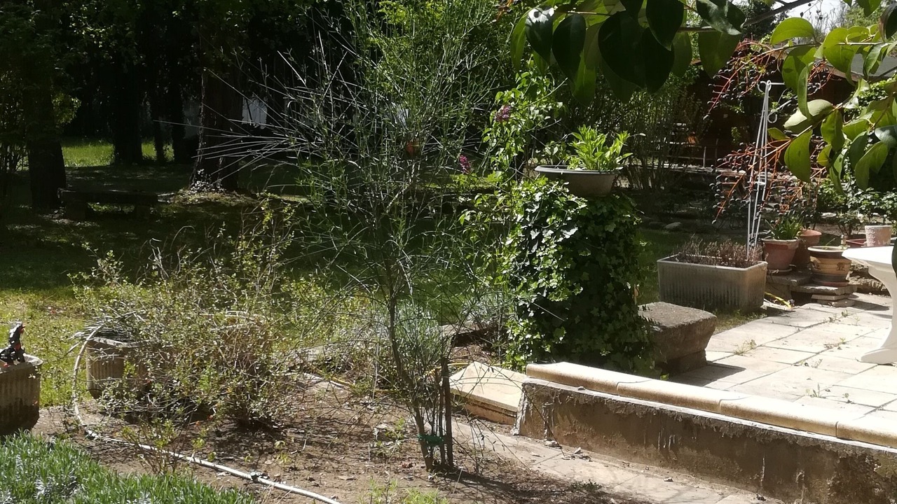 Photo of Outdoor in Loriol-du-Comtat