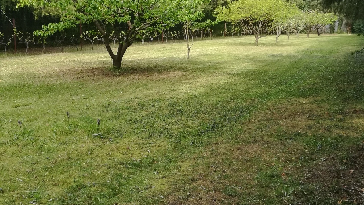 Photo of Others in Loriol-du-Comtat