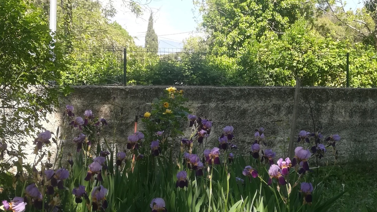 Photo of Outdoor in Loriol-du-Comtat