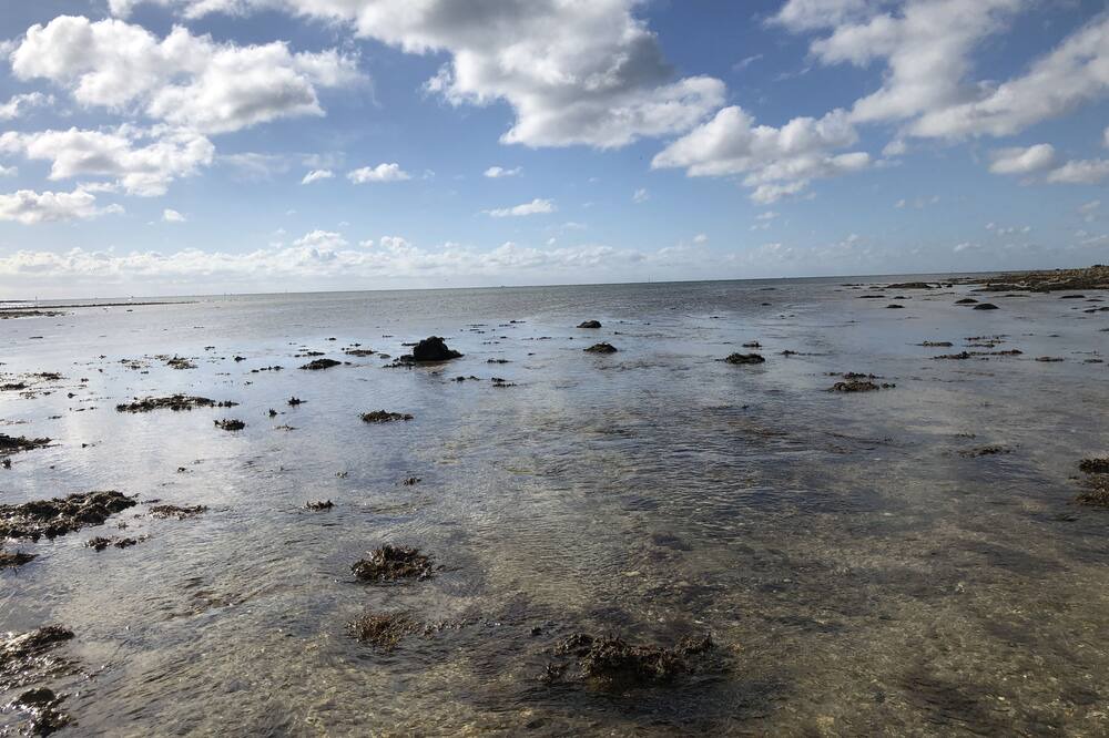 Photo of Others in Theix-Noyalo