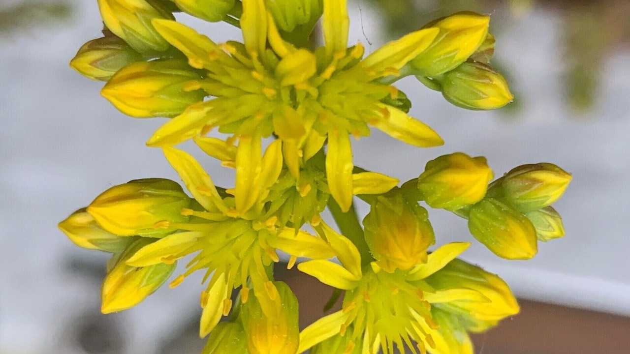 Photo of Outdoor in Barnard