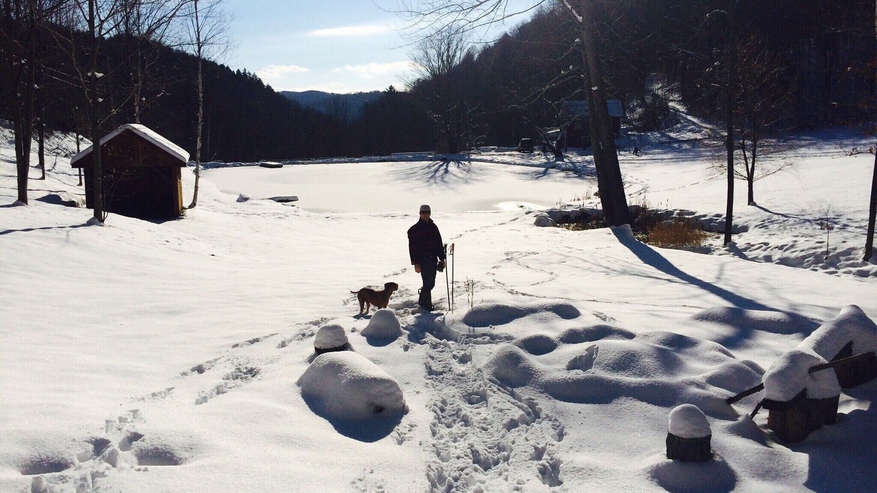 Photo of Others in Barnard
