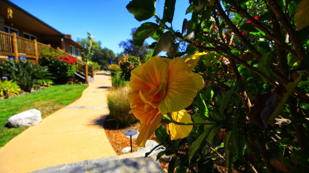 Photo of Outdoor in Felicita