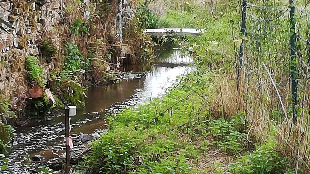 Photo of Outdoor in Chamberet