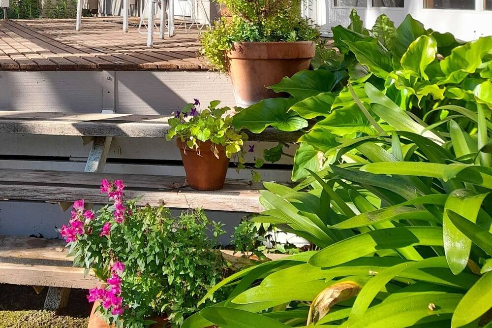 Photo of Outdoor in Jamieson