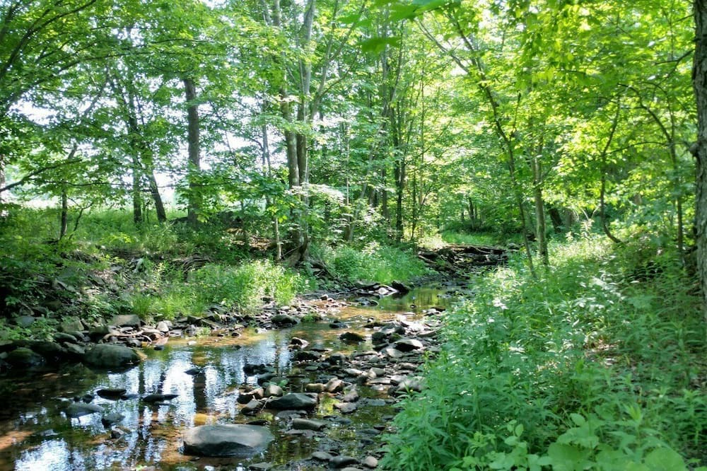 Photo of Others in Town of Conesville
