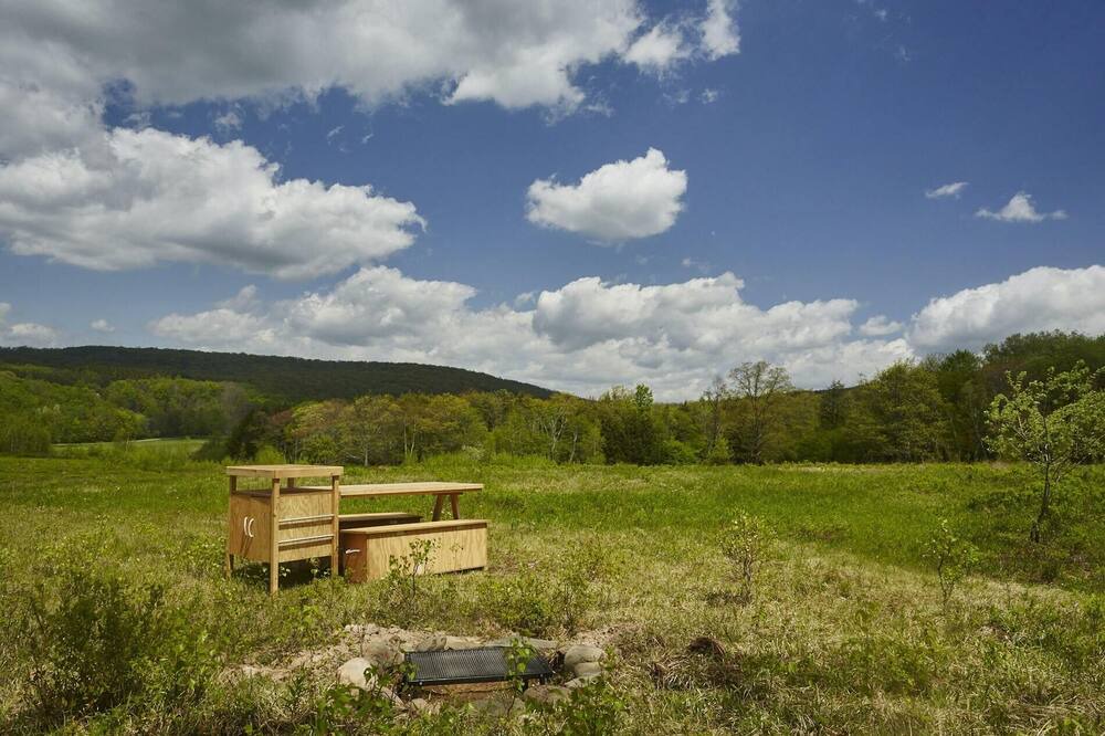 Photo of Others in Livingston Manor