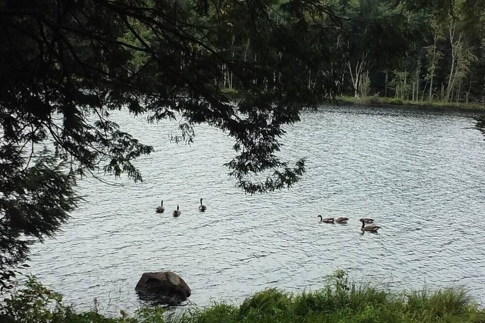 Photo of Others in Lake Luzerne