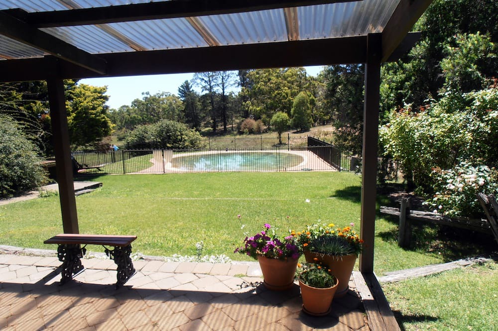 Photo of Others in Napoleon Reef