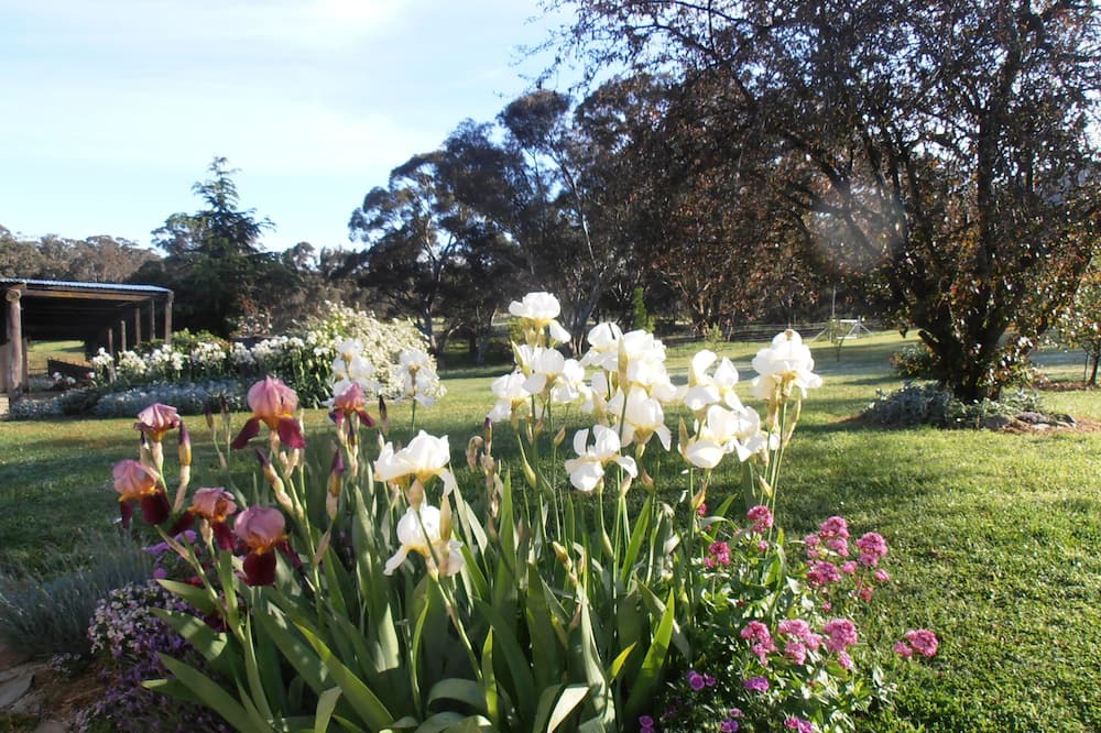 Photo of Others in Napoleon Reef