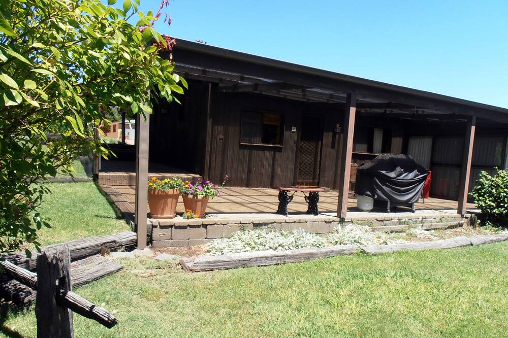 Photo of Others in Napoleon Reef