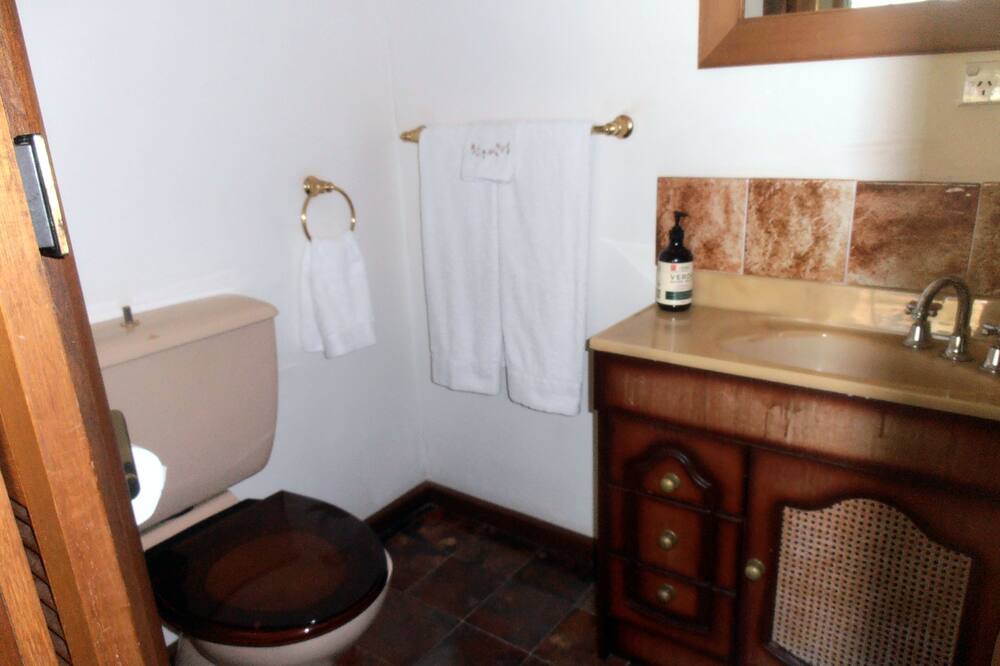 Photo of Others in Napoleon Reef