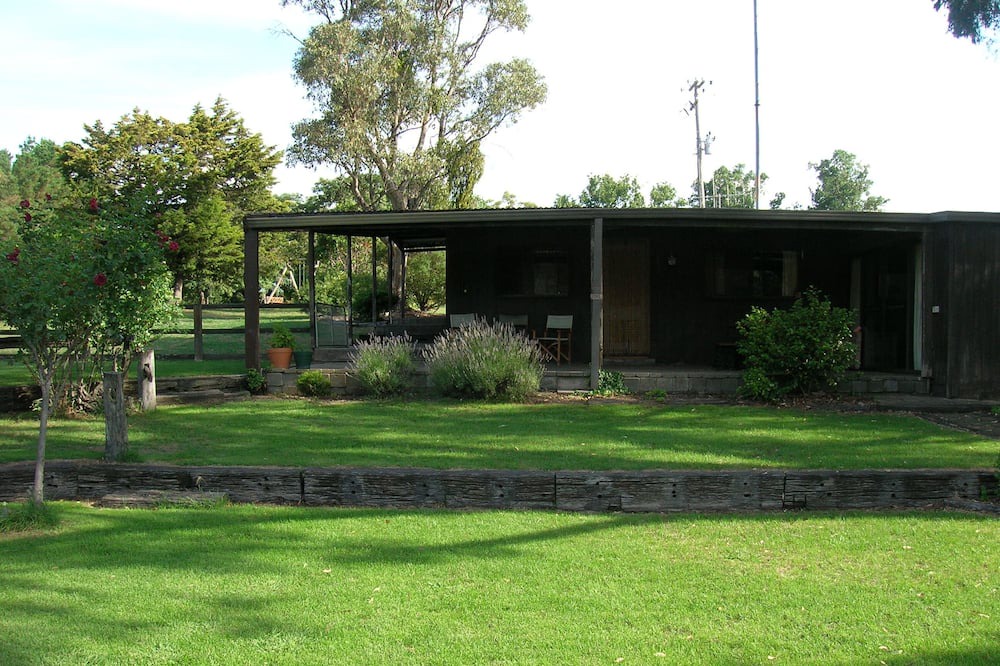 Photo of Others in Napoleon Reef