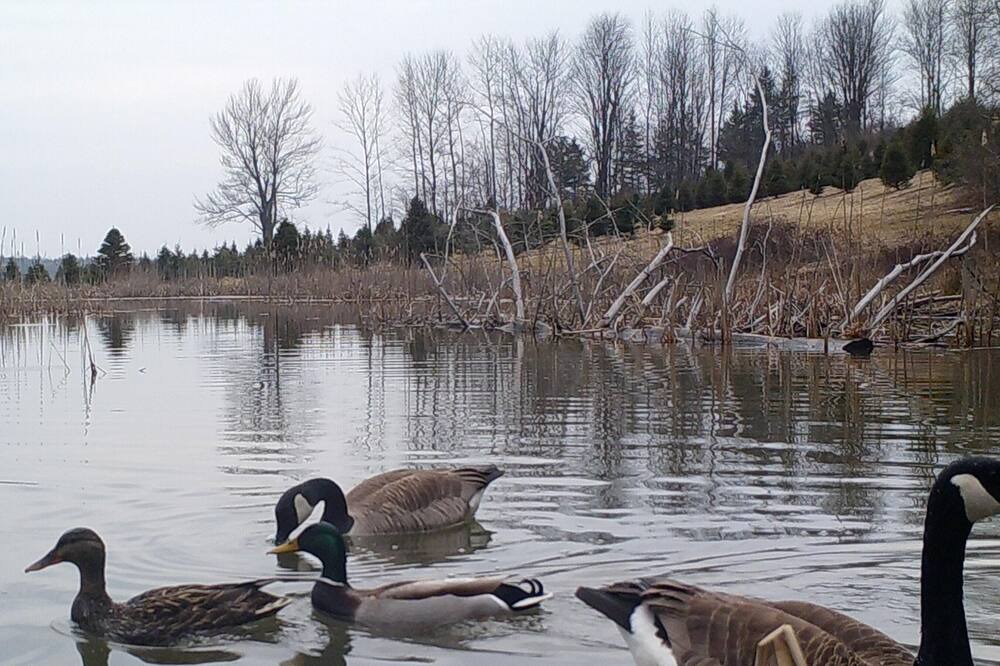 Photo of Others in Harpursville