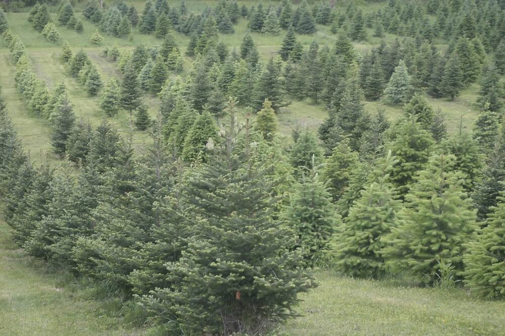 Photo of Others in Harpursville