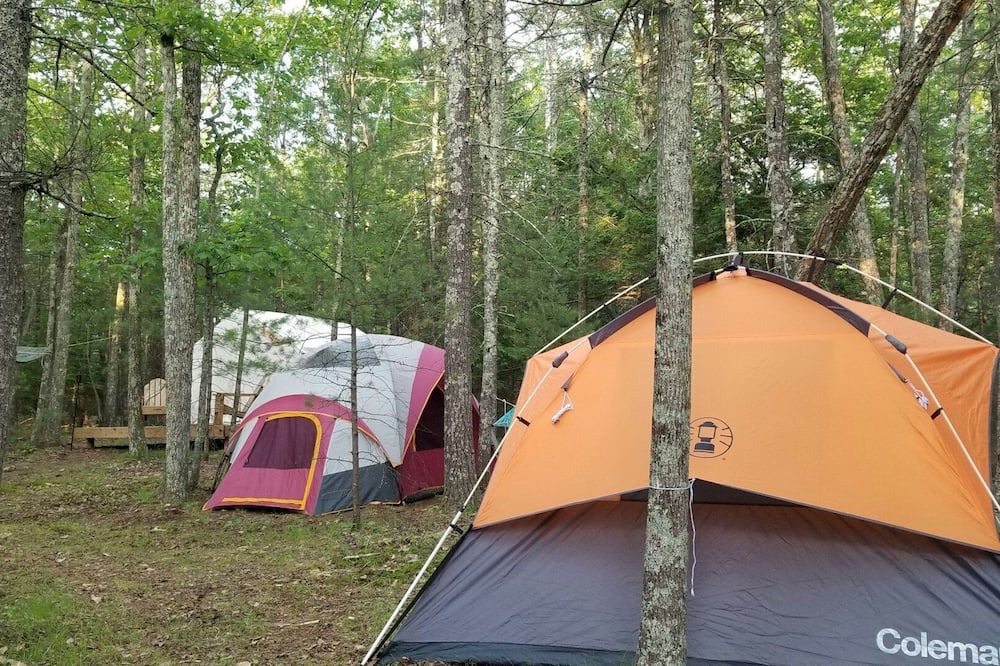 Photo of Others in Hurley