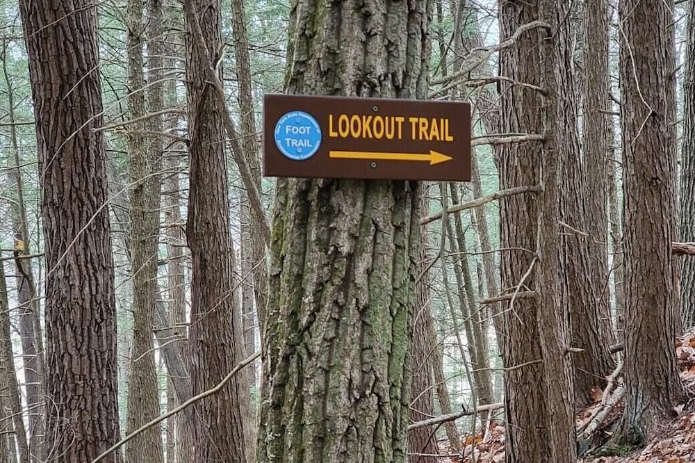 Photo of Others in Hurley