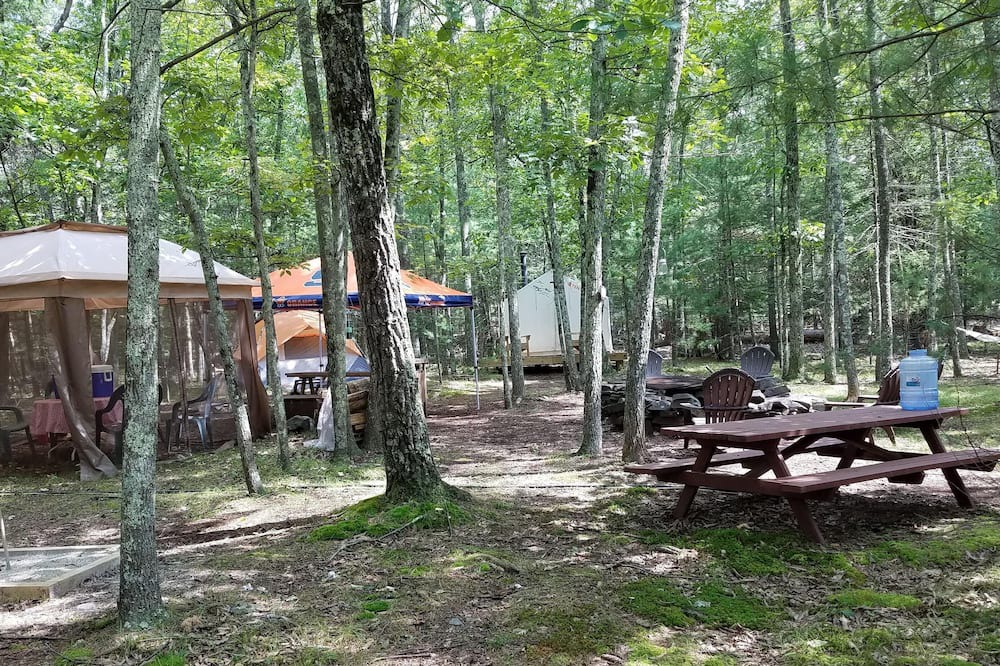 Photo of Others in Hurley