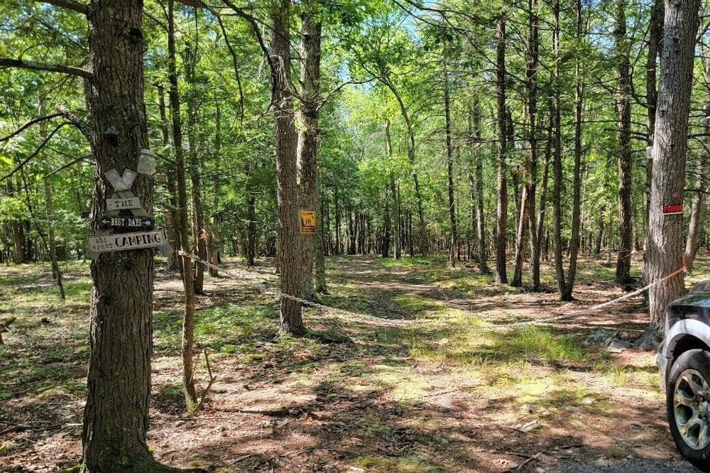 Photo of Others in Hurley