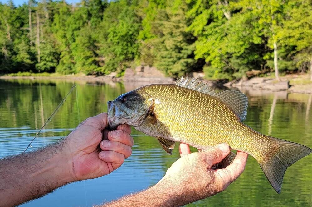 Photo of Others in Hurley