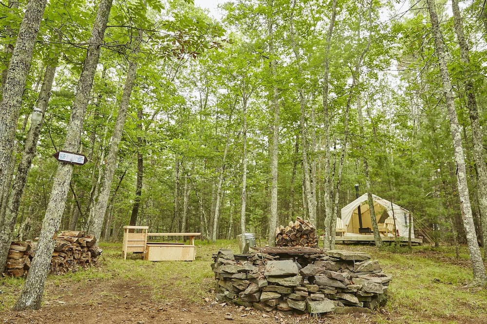 Photo of Others in Hurley