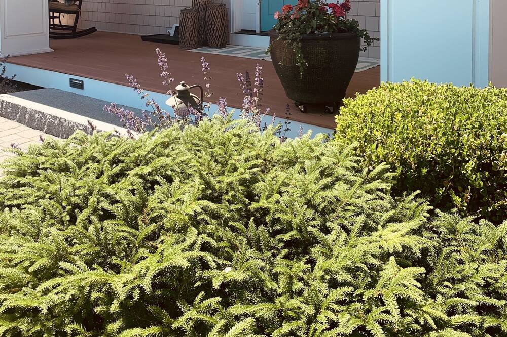 Photo of Others in Rye