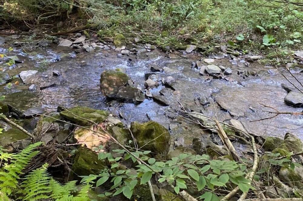 Photo of Others in Unadilla