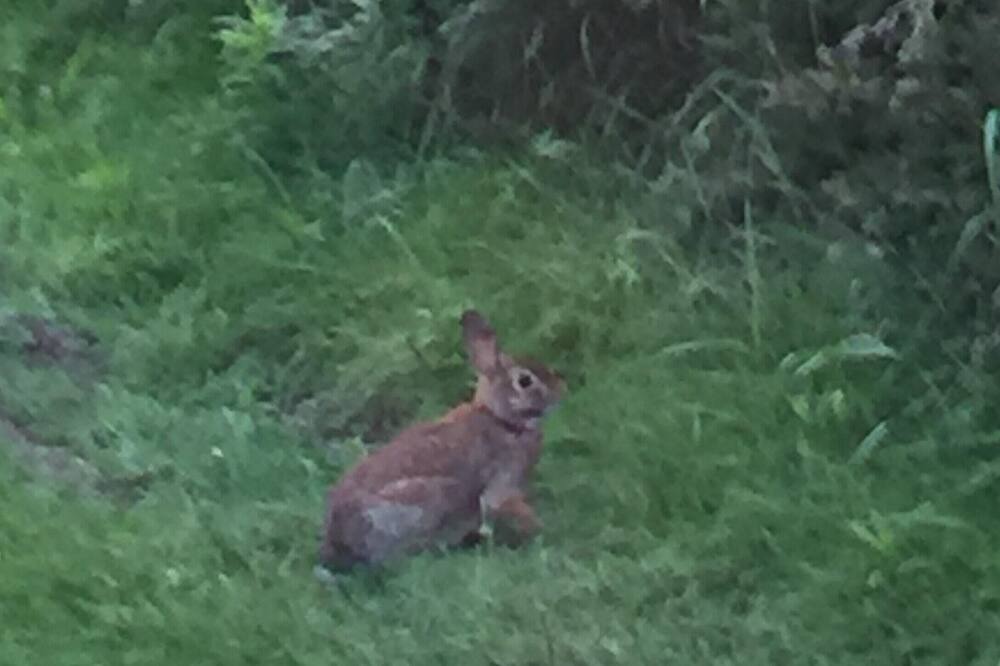Photo of Others in Unadilla
