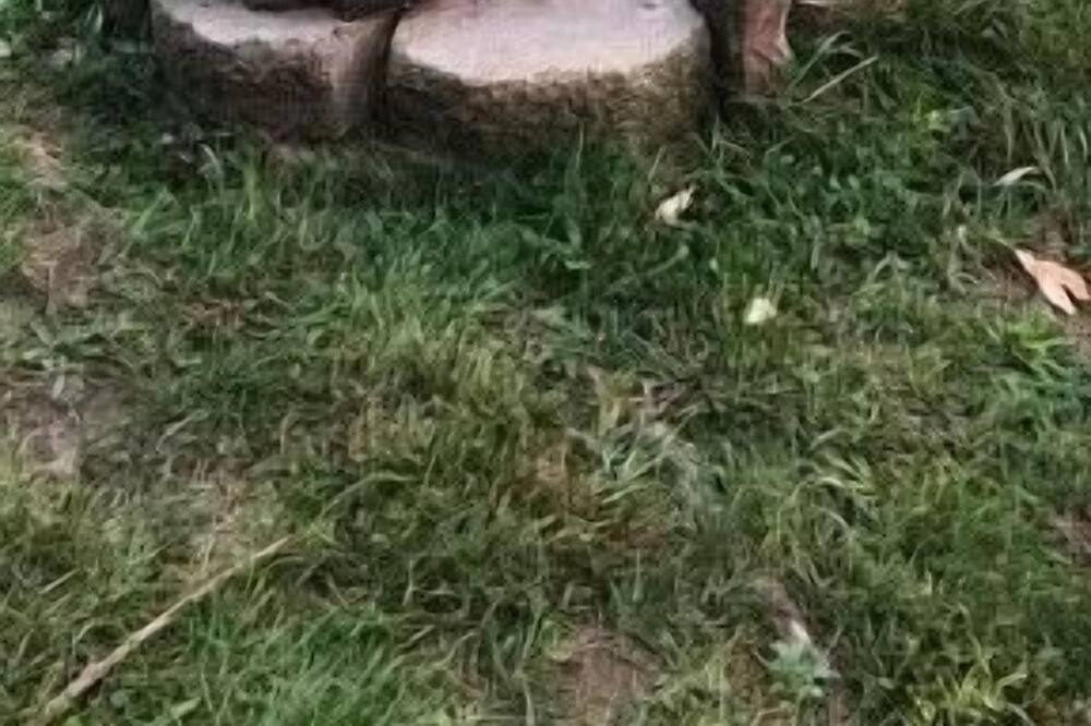 Photo of Others in Unadilla