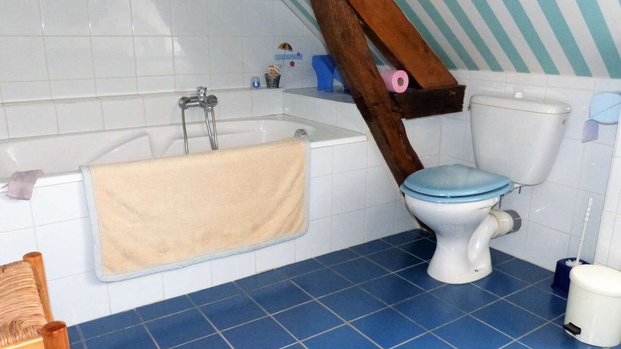 Photo of Bathroom in Lureuil