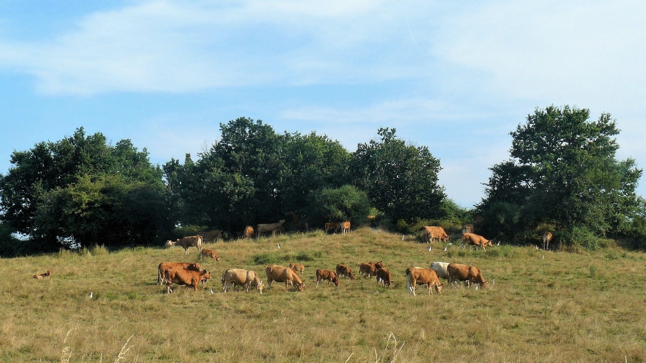 Photo of Outdoor in Lureuil