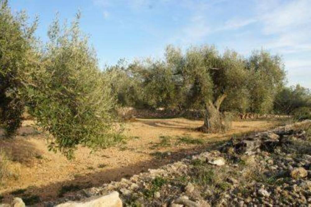 Photo of Outdoor in Tortosa