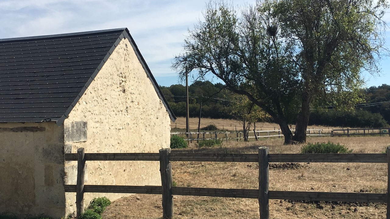 Photo of Outdoor in Cerelles