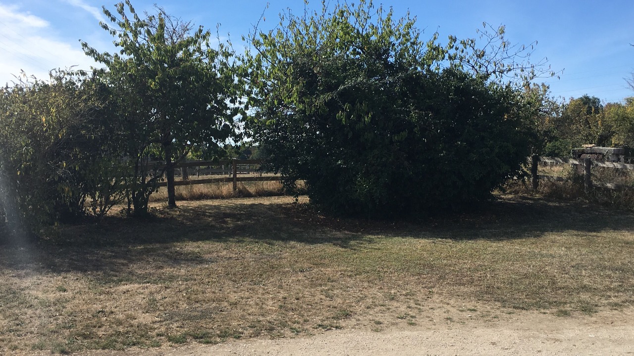Photo of Outdoor in Cerelles