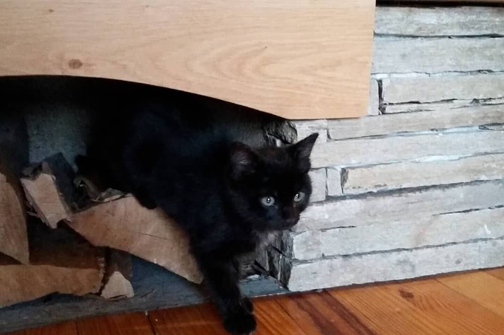 Photo of Others in Saint-Pancrasse