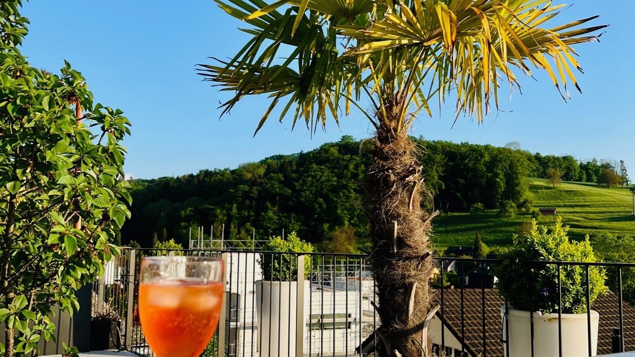 Photo of Outdoor in Gebenstorf