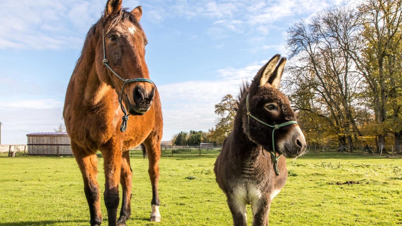 Photo of Others in Verneuil-sur-Avre